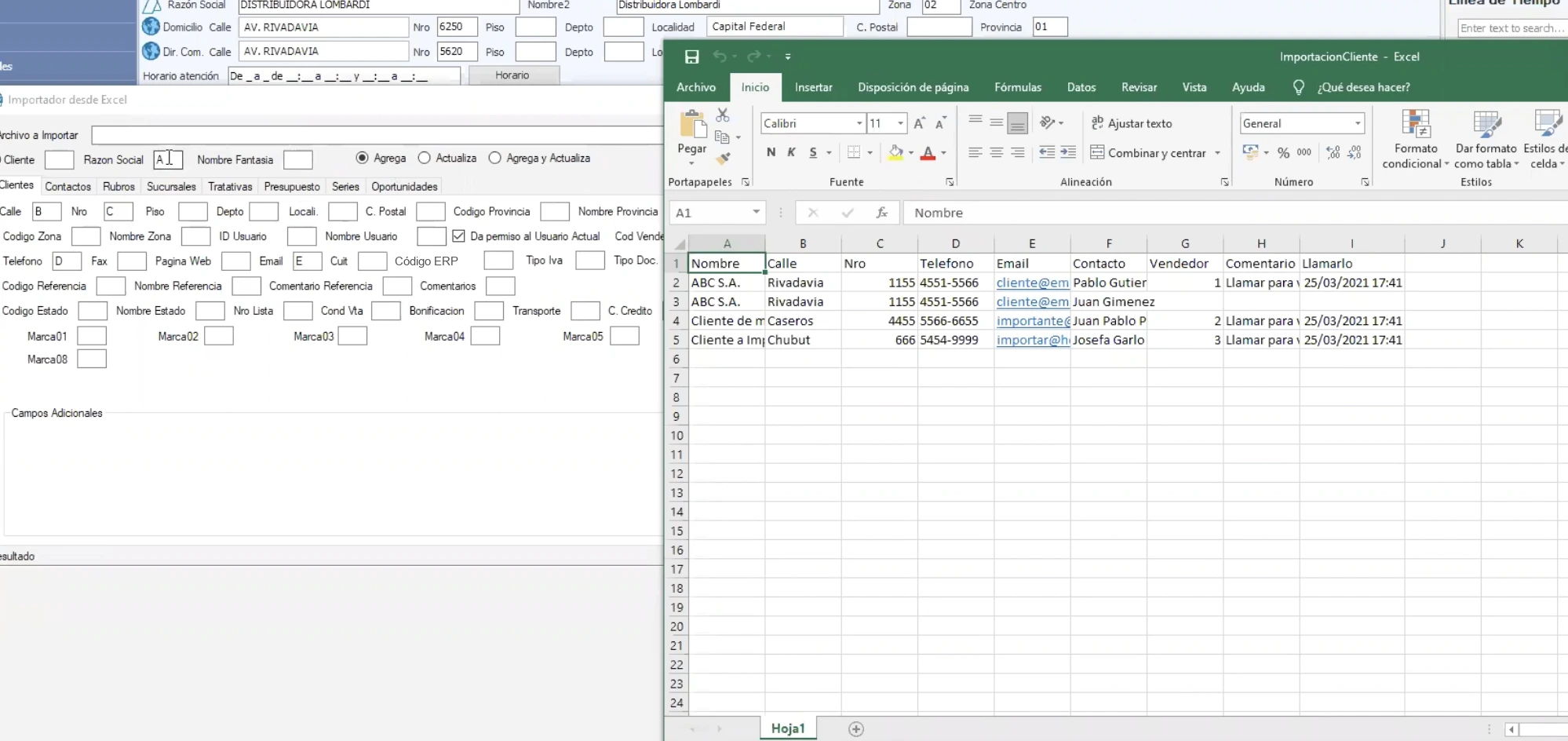 Importador desde Excel de CRM Go: cada campo del cliente con la columna de la planilla que le corresponde