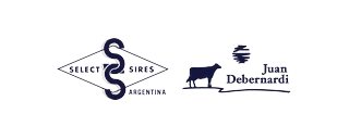 Logo de Select-Debernardi